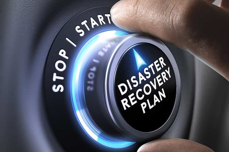 sdg standards business disaster recovery