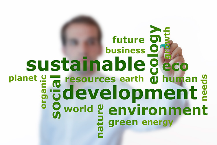 SDG Solutions standards environmental training