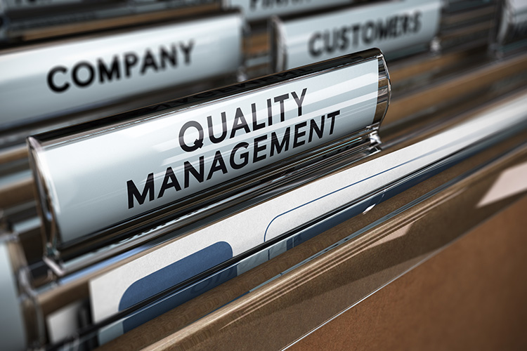 sdg standards quality internal audits